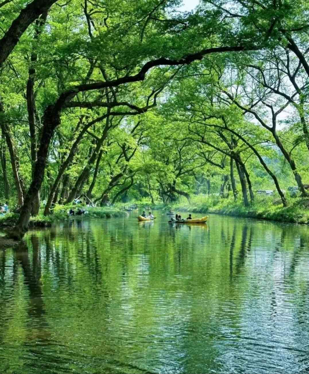 微信图片_20250326101853