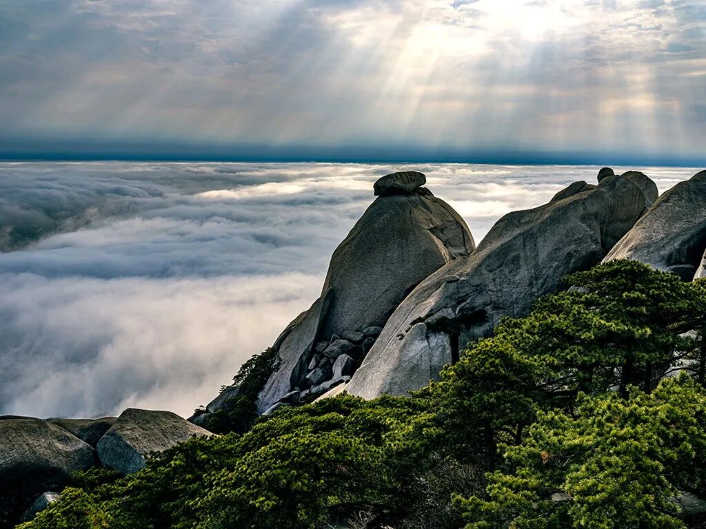 微信图片_2025-11-02_143753_459