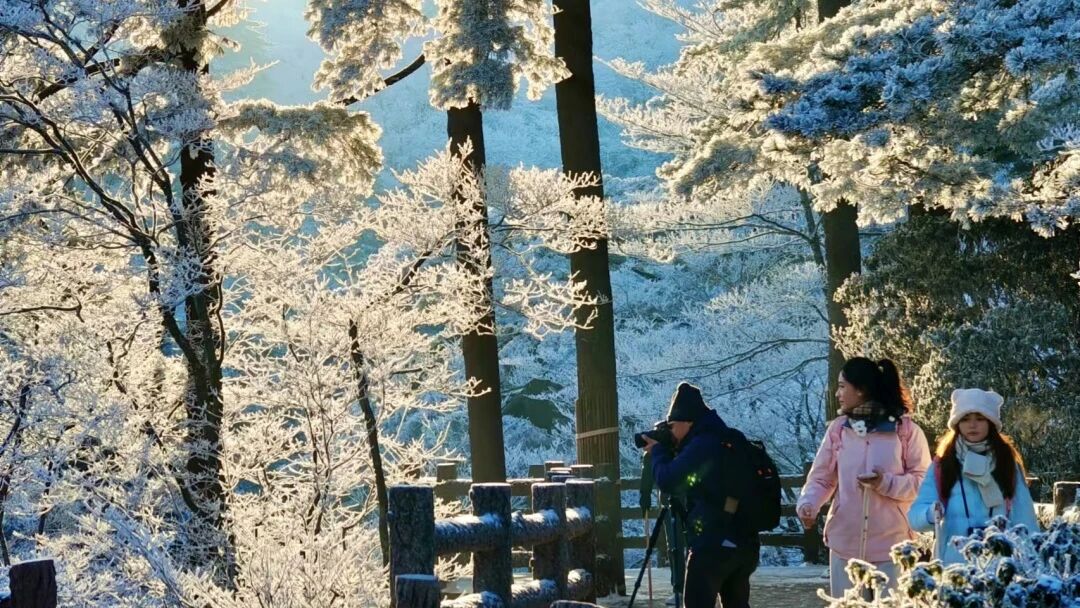 微信图片_2025-11-07_100101_594