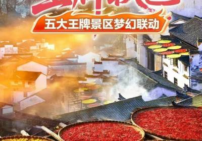 阜阳出发【Ⓒ王牌秋色】婺女洲,篁岭,葛仙村,景德镇3日游598元!