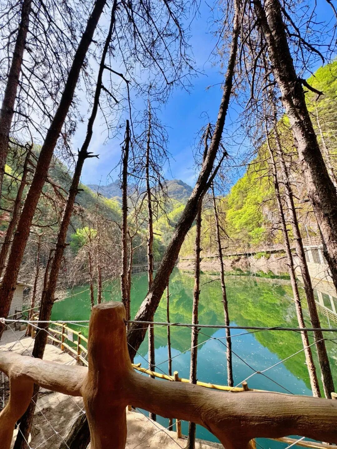 微信图片_2026-03-17_141323_300