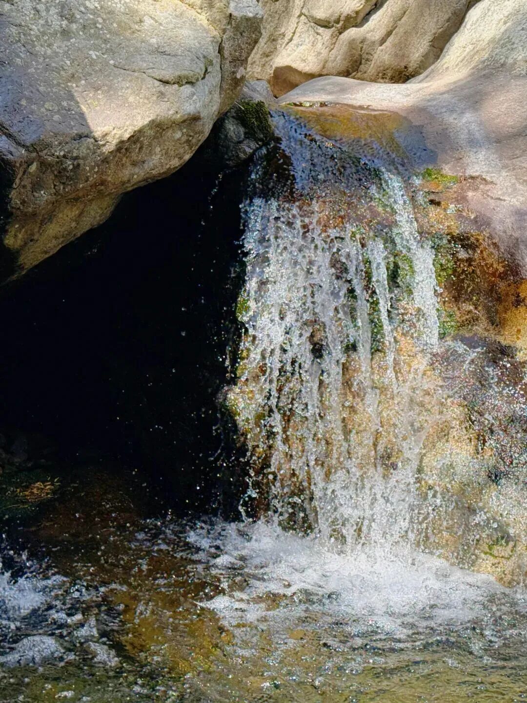 微信图片_2026-03-17_141319_178