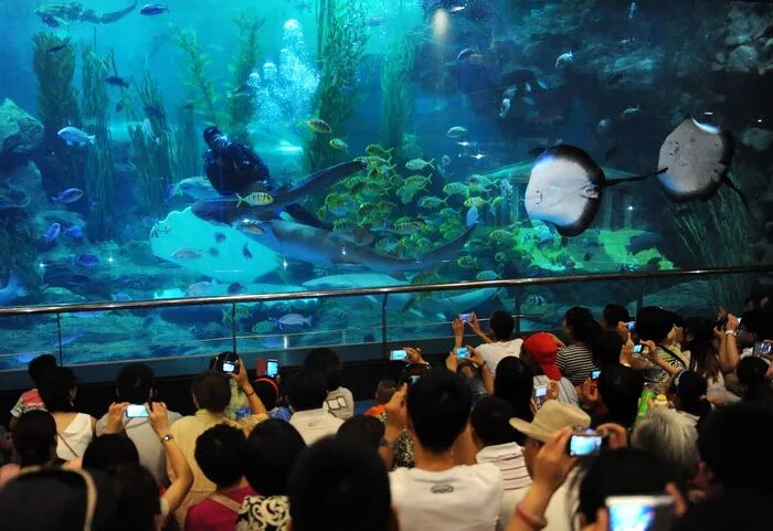 微信图片_2026-08-15_204048_062 微信图片_2026-08-15_204048_062